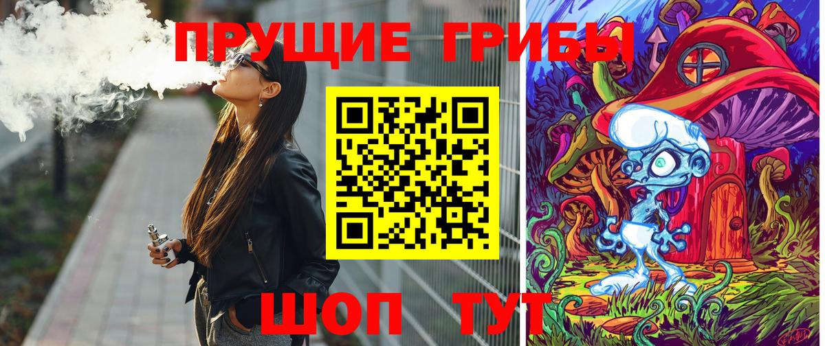 Вольск  Галлюциногенные грибы Psilocybine cubensis  Вход с VPN  Псилоцибиновые грибы прущие грибы 